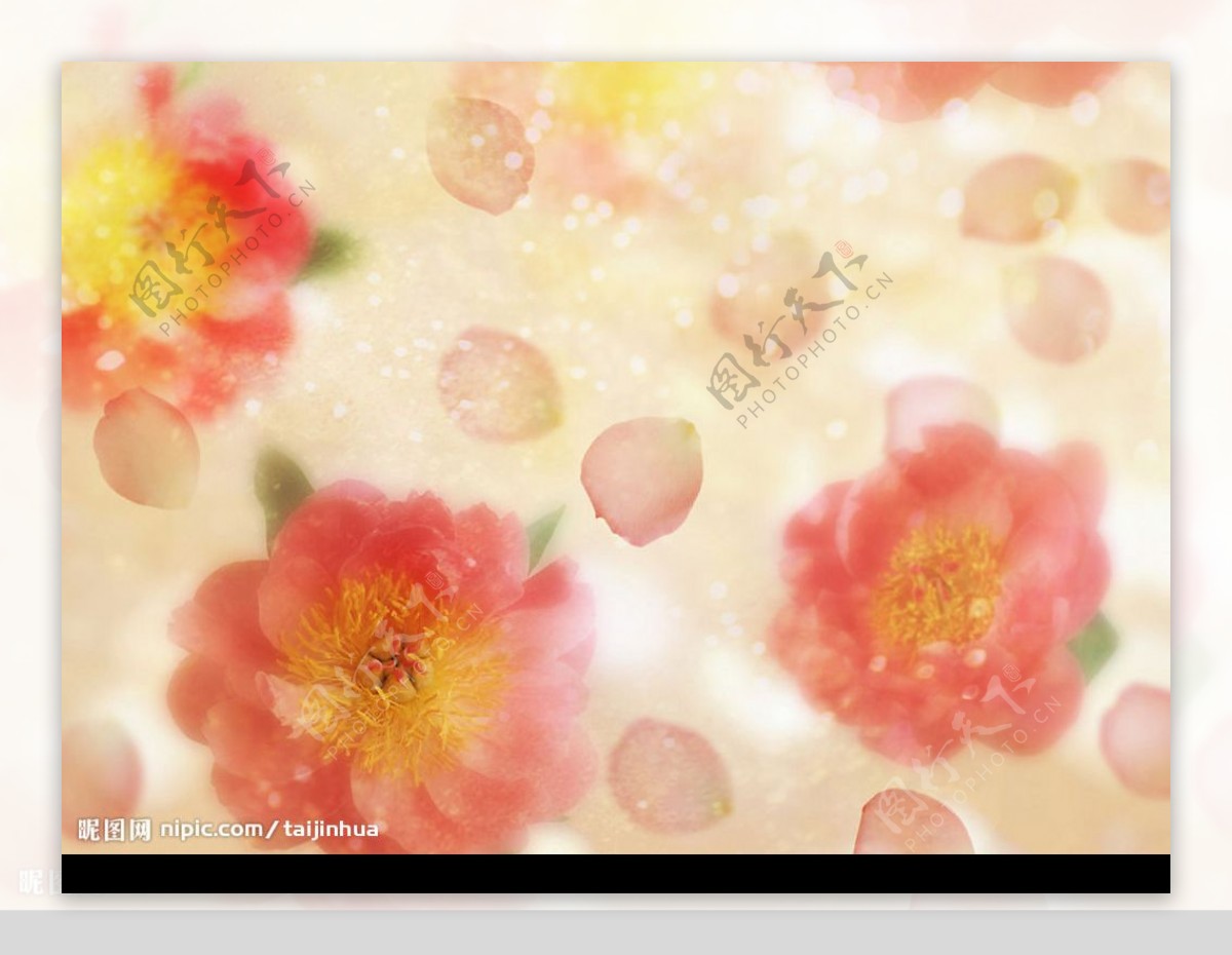 夢幻花卉背景图片