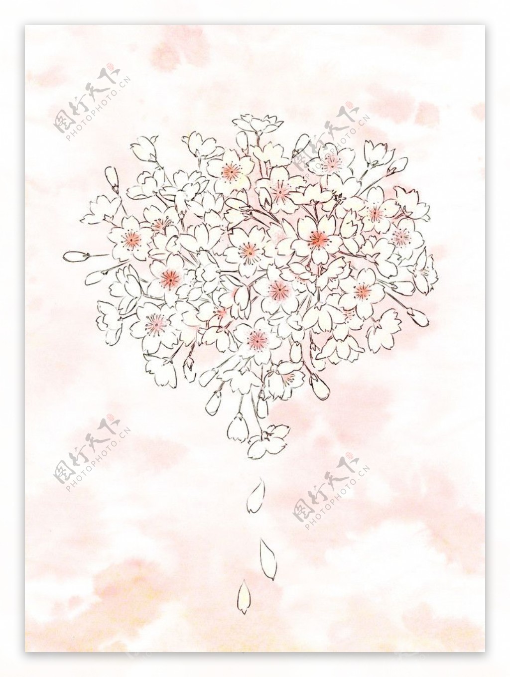 粉色樱花花束图片