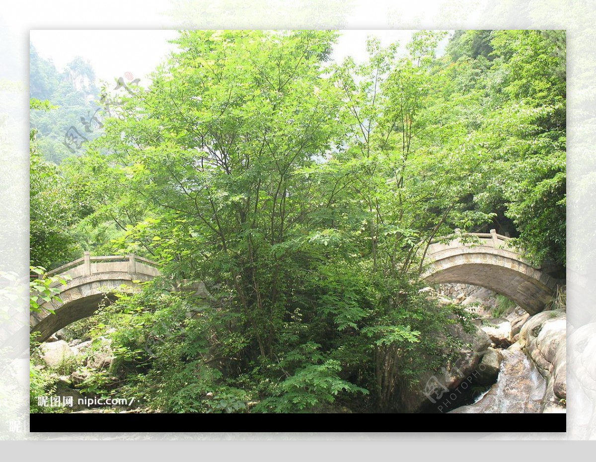 山中石桥图片