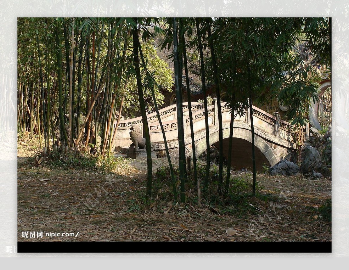 竹林中的小桥图片