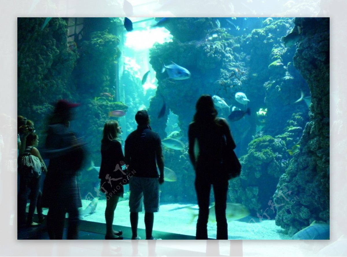 人们在水族馆观赏鱼类图片