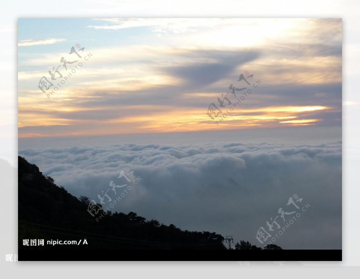 黄山：日出遇到了最美的云海 山树云光相互交集-搜狐