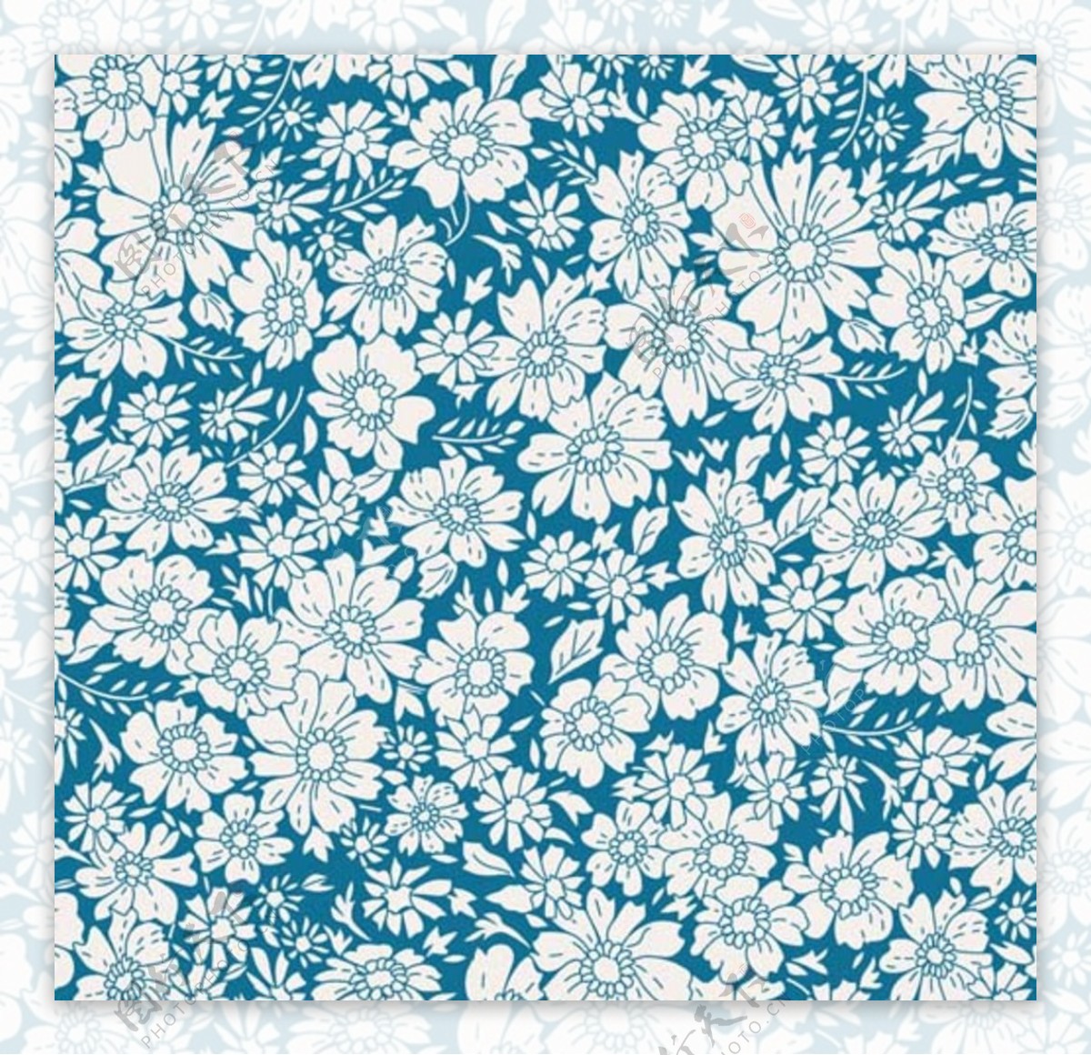 蓝底白花小雏菊背景图图片
