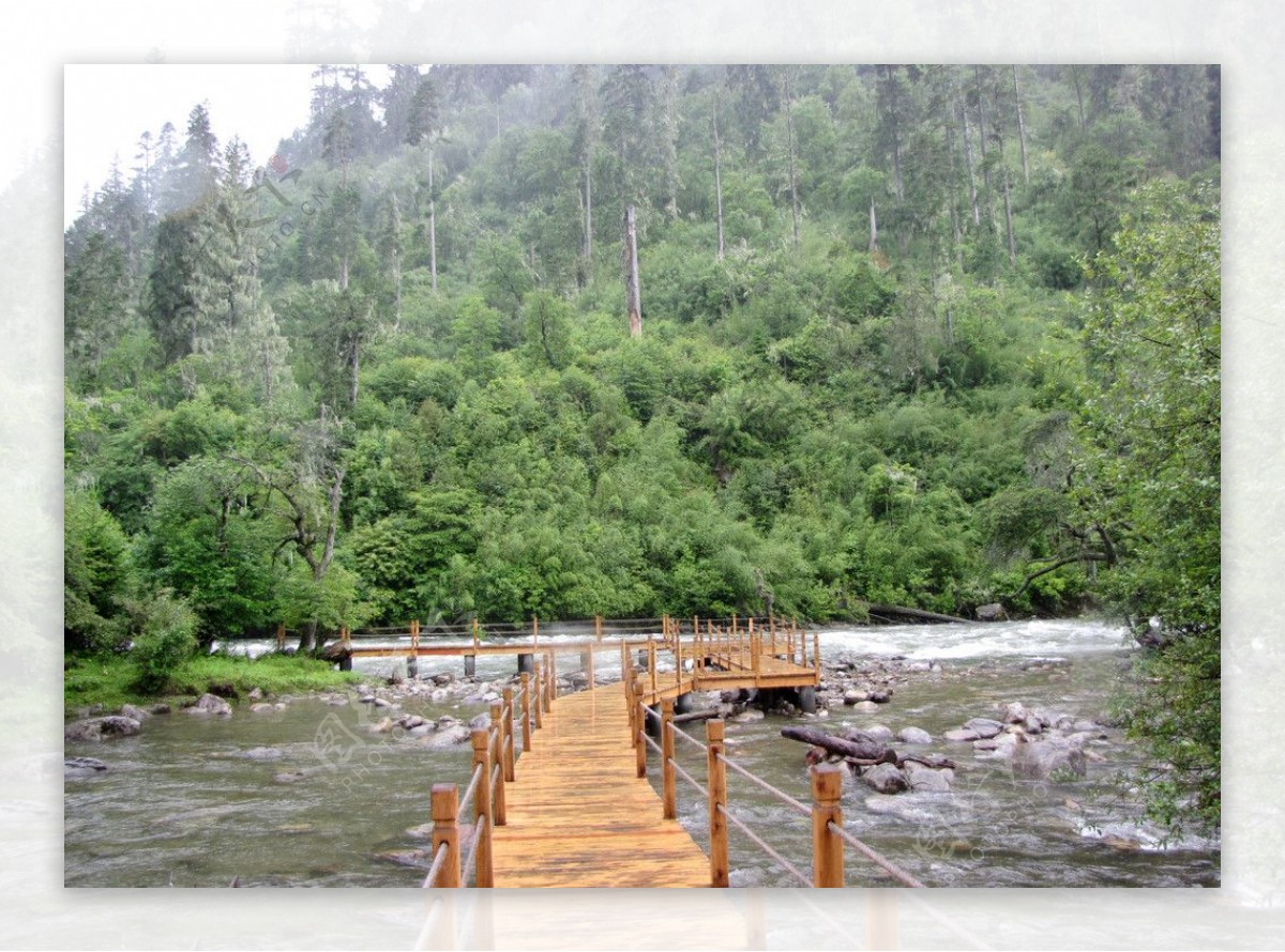 高原河流上的木桥图片