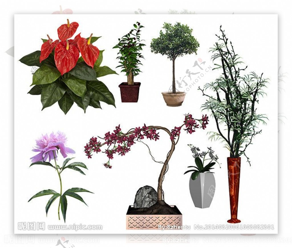 花卉植物素材图片