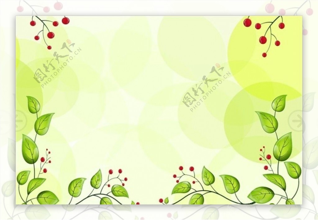 绿叶高清红果图片