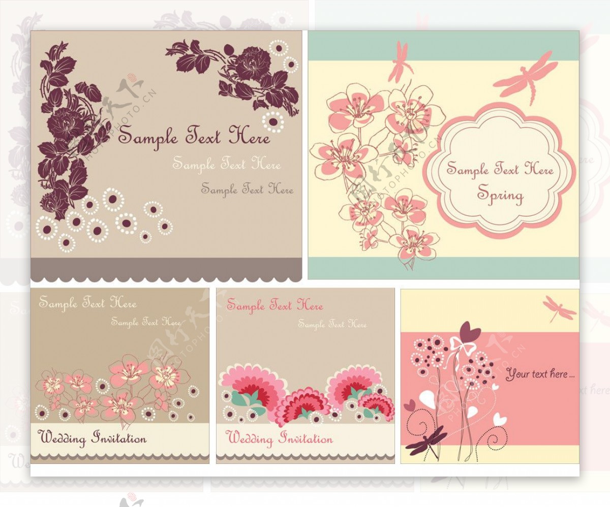 浪漫欧式花纹花朵蜻蜓卡片图片