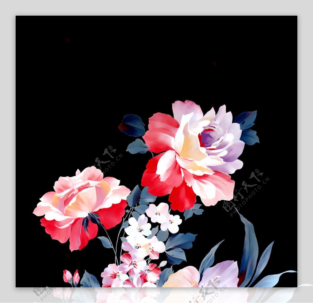 手绘韩国花卉图片