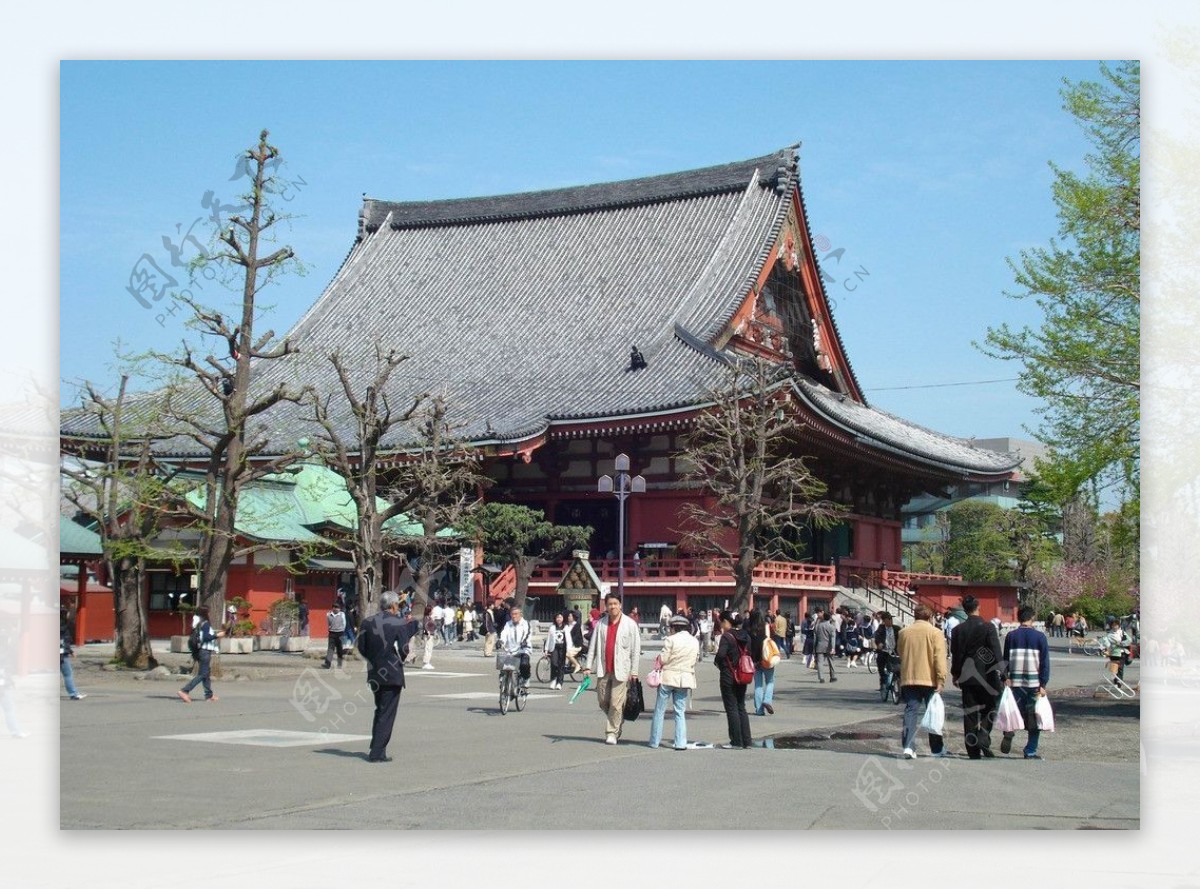 东京浅草观音寺图片