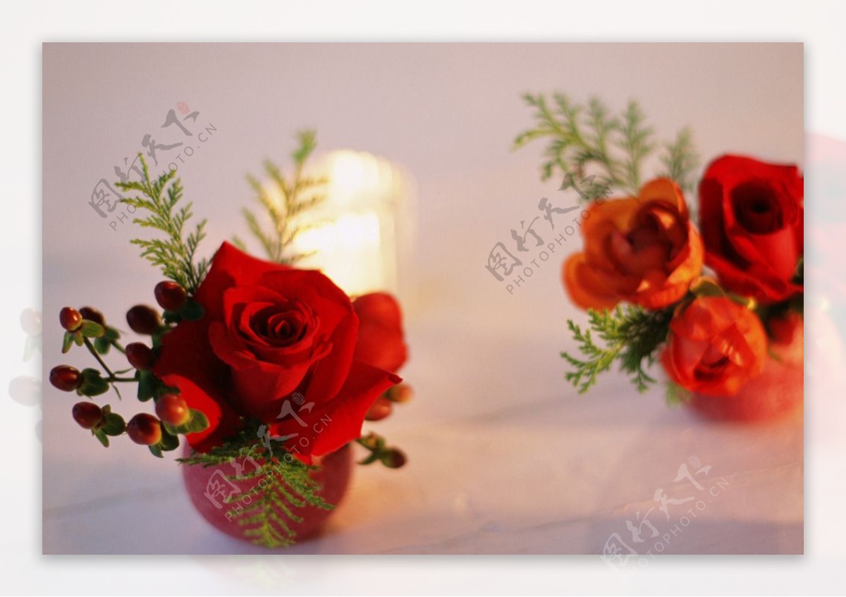 红色浪漫玫瑰图片