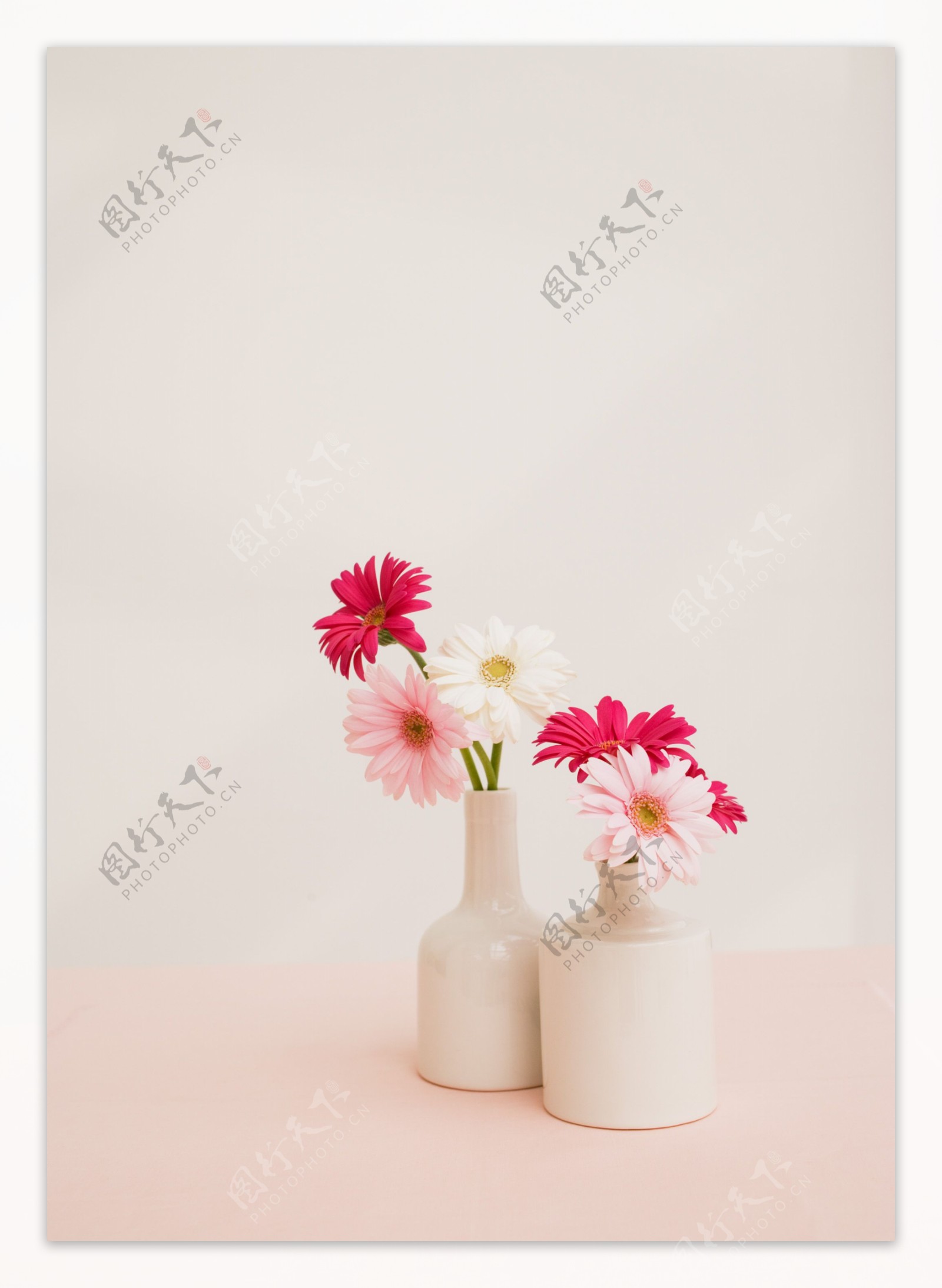 室内花朵摄影图片