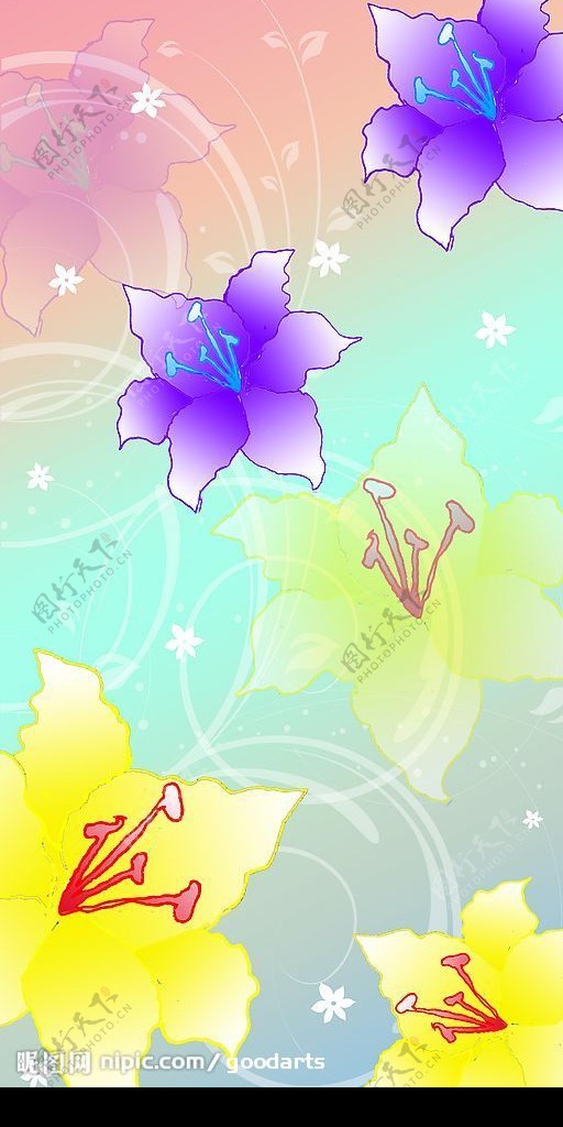 黄花紫花美丽背景图片