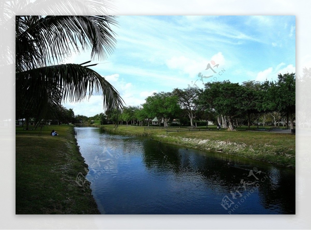 迈阿密市内生态型景色图片