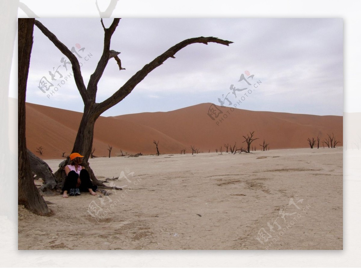 沙漠之旅干涸的湖床美女休息枯树图片