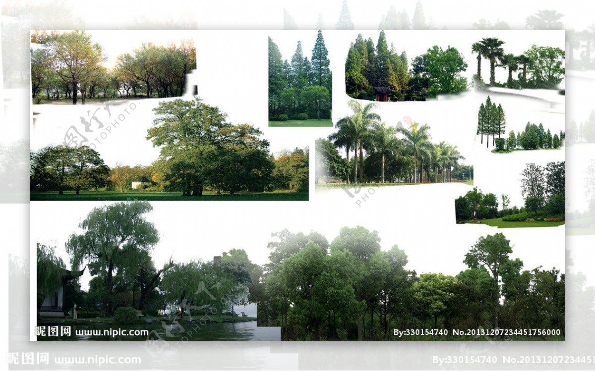 景观配景树PSD素材图片