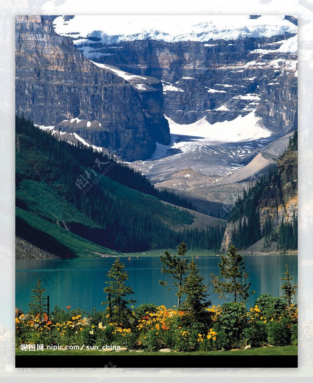 加拿大雪山湖边绿树风光图片