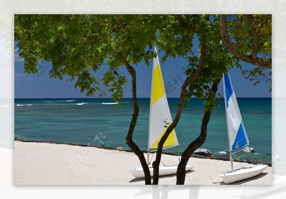 毛里求斯沙滩帆船图片