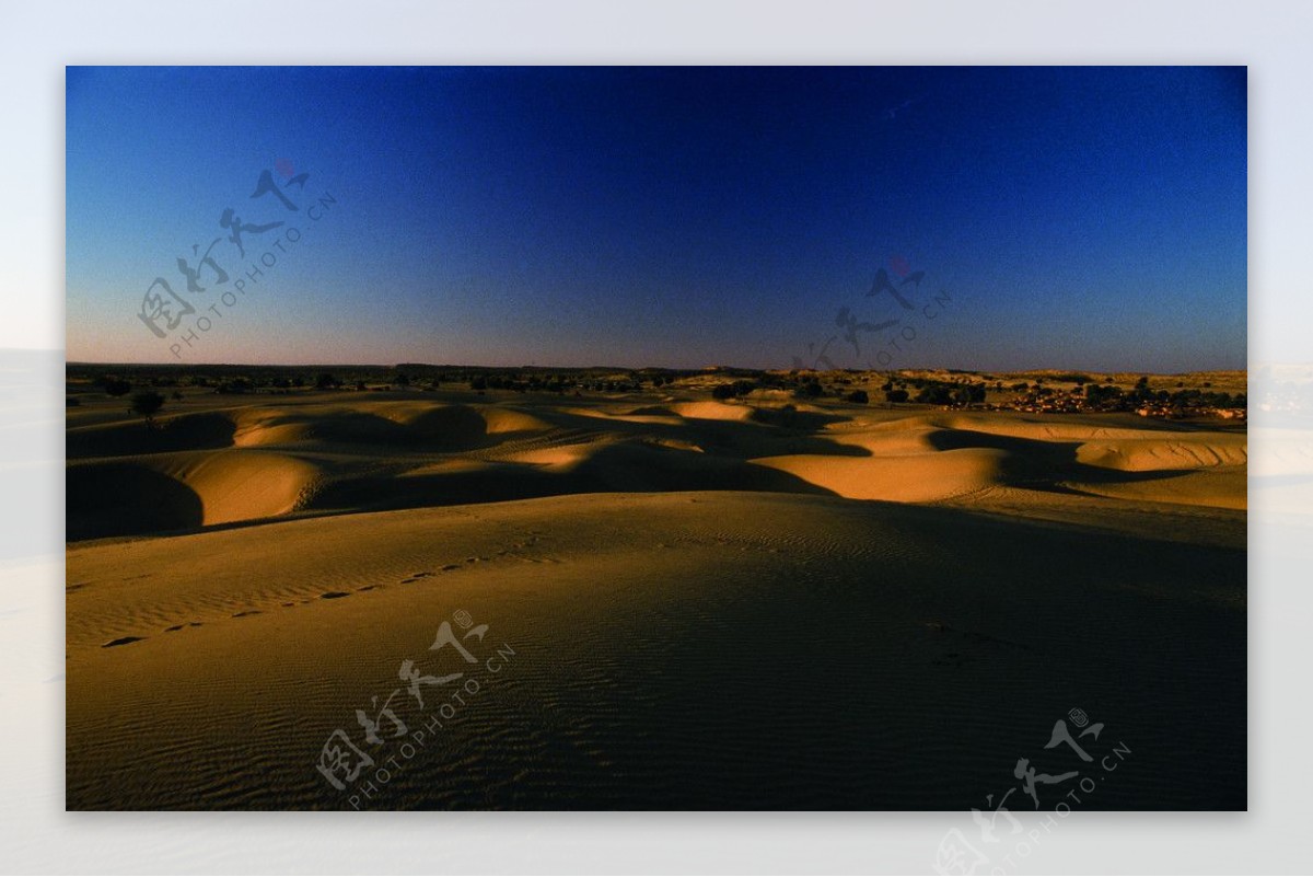 夕阳中的沙漠图片