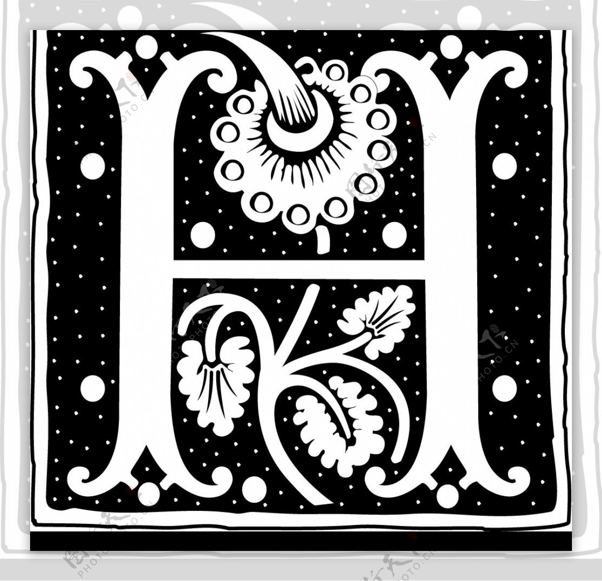 欧美古典花纹字母式样12图片