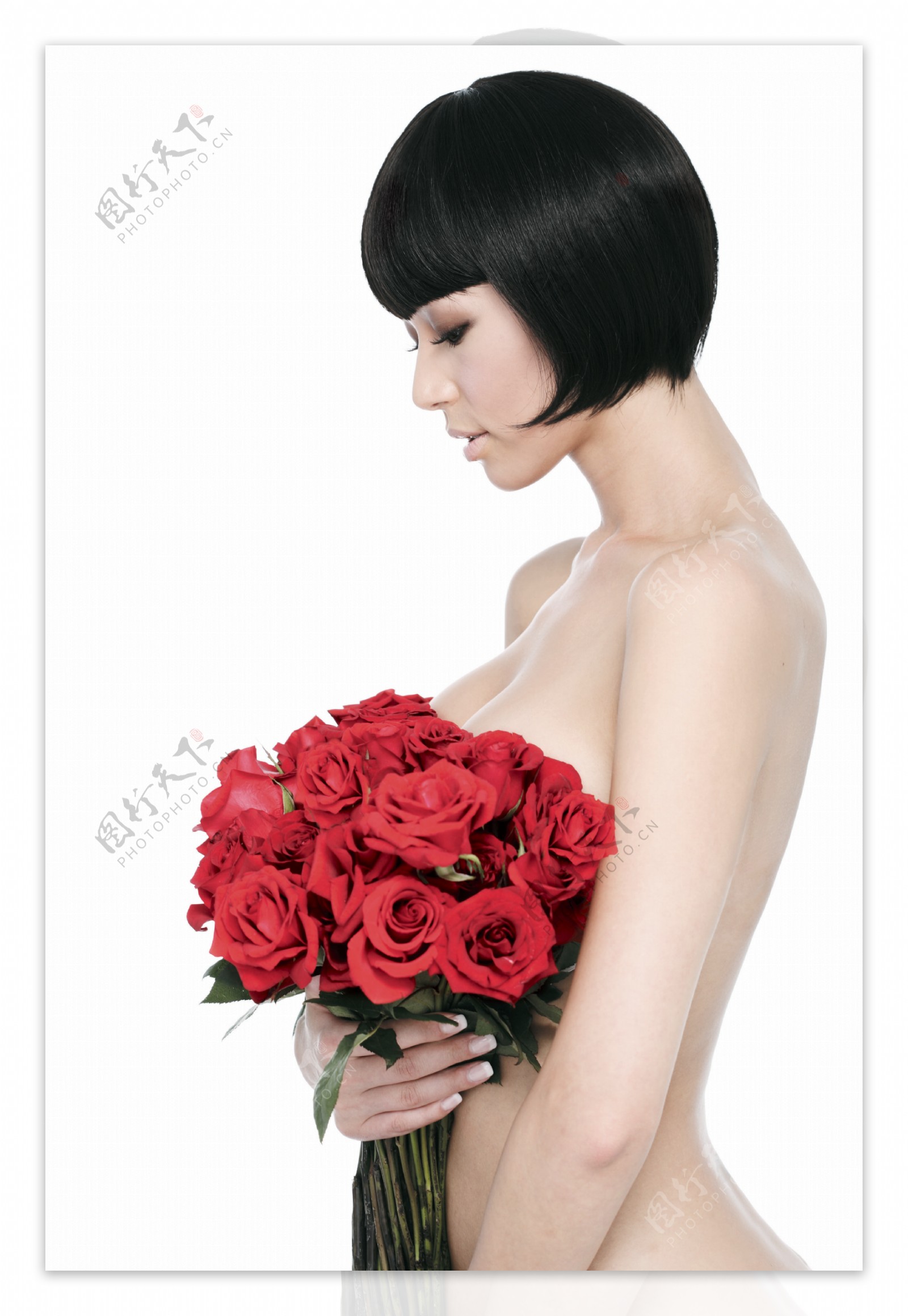 手捧玫瑰花的女人图片