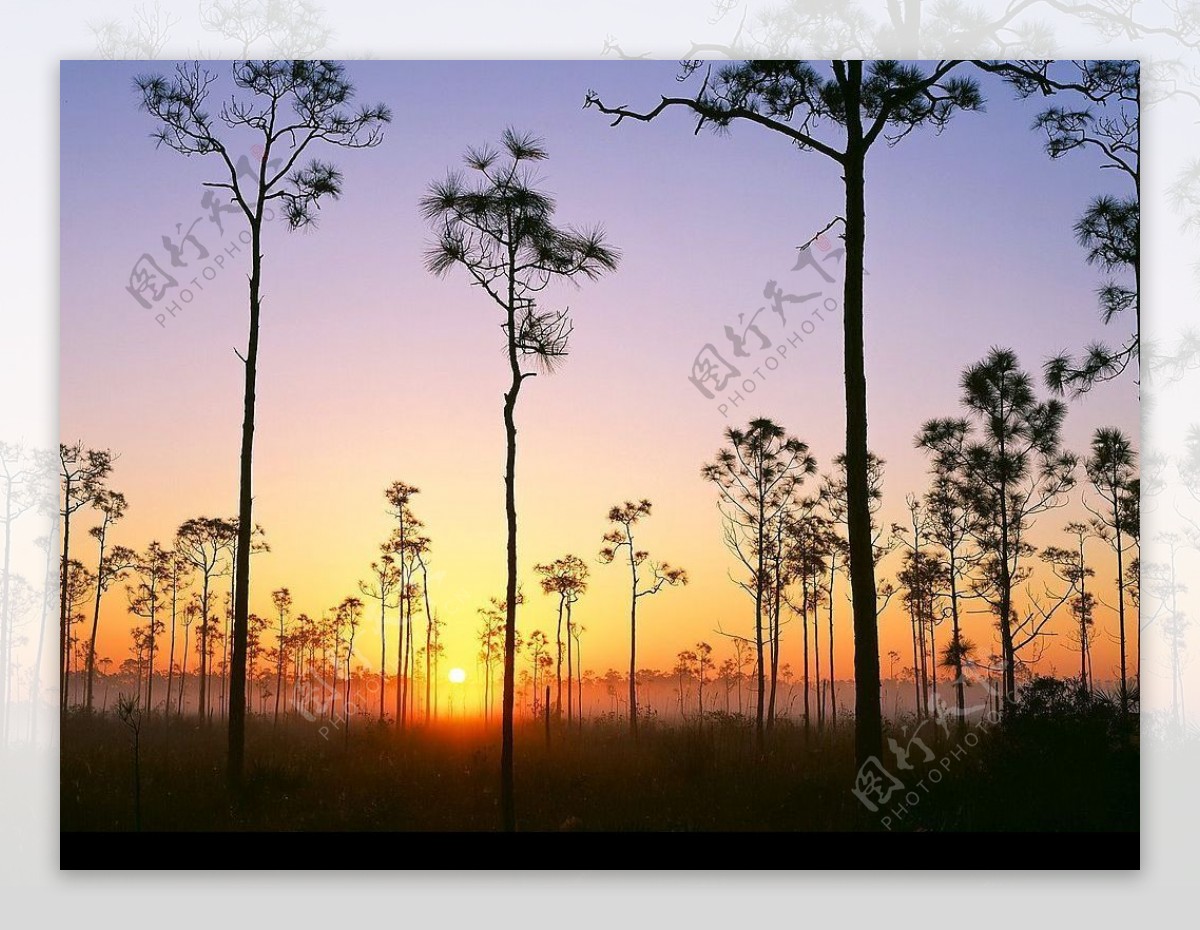 佛罗里达州大沼泽地国家公园日出图片
