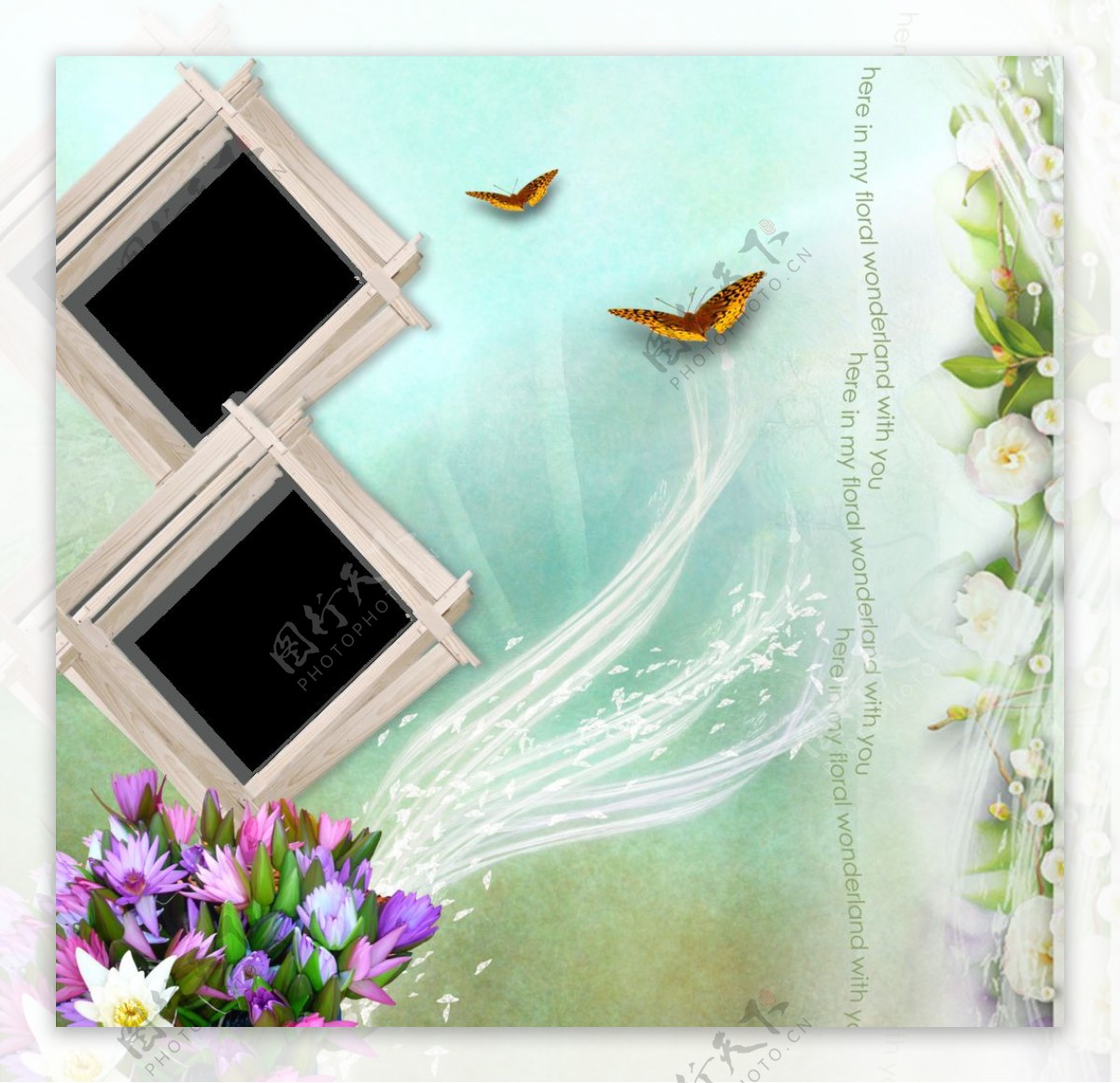 花朵蝴蝶相框图片