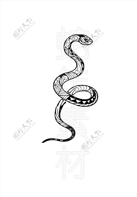 动物蛇图片