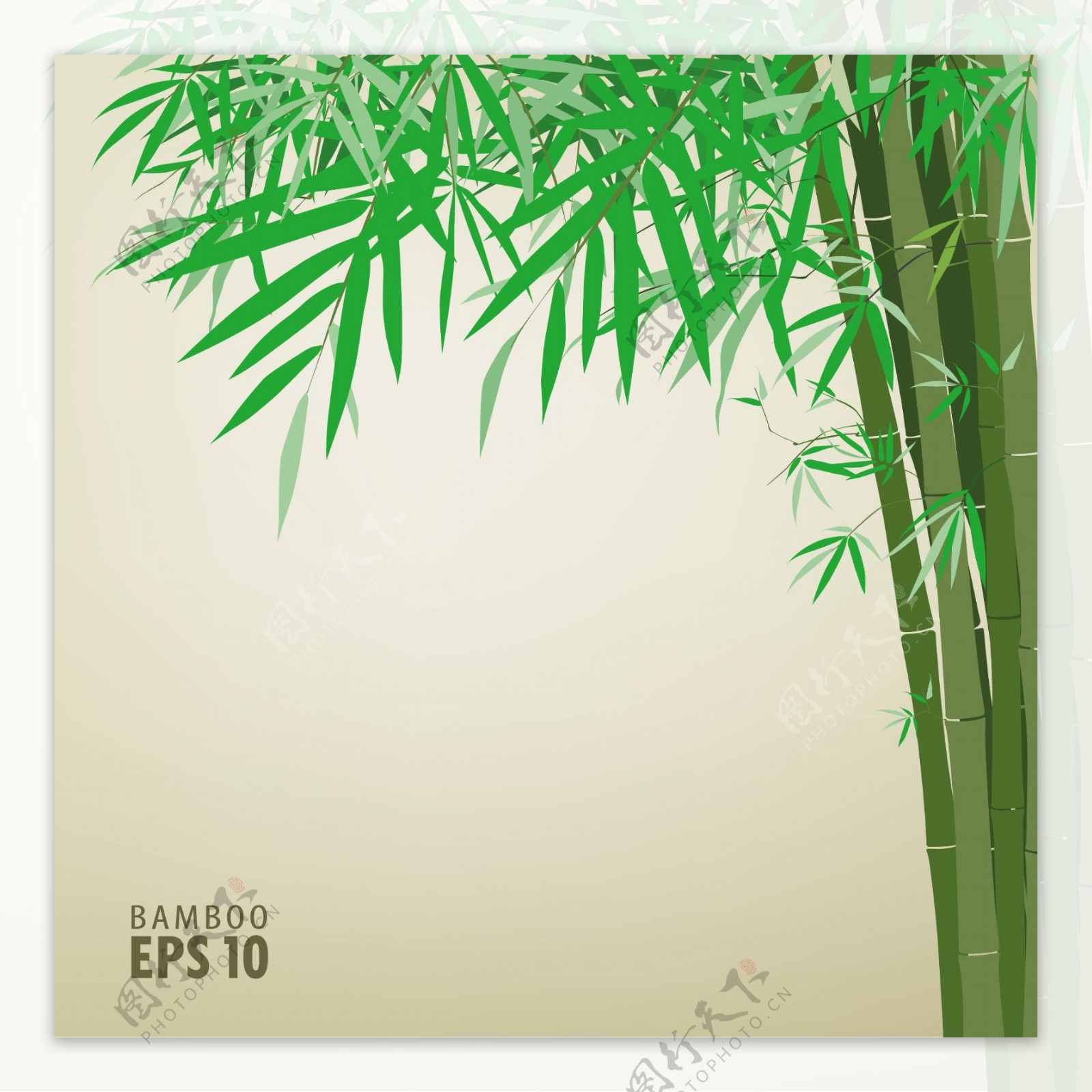 绿竹背景图片