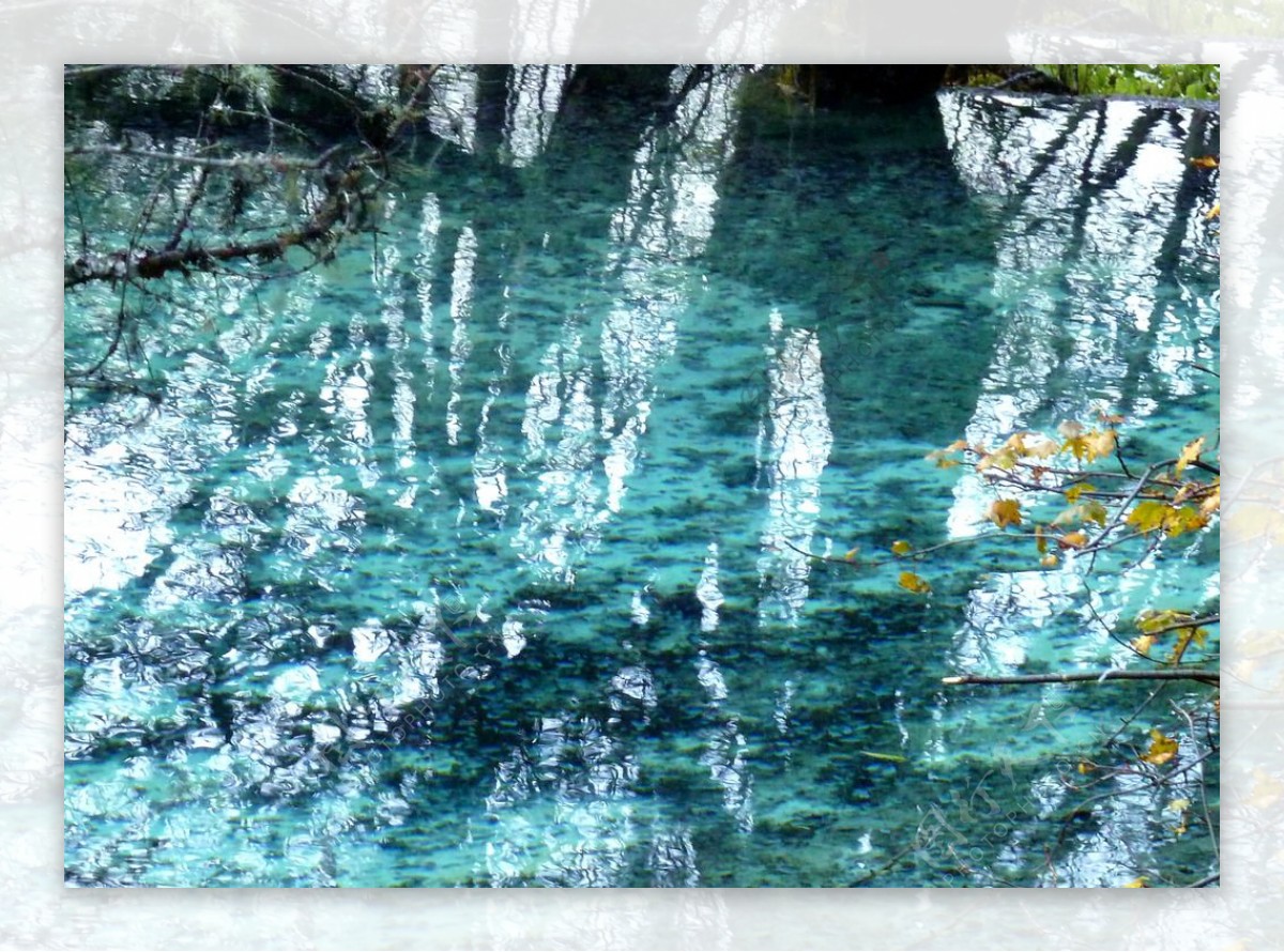 黄龙五彩池水景特写图片
