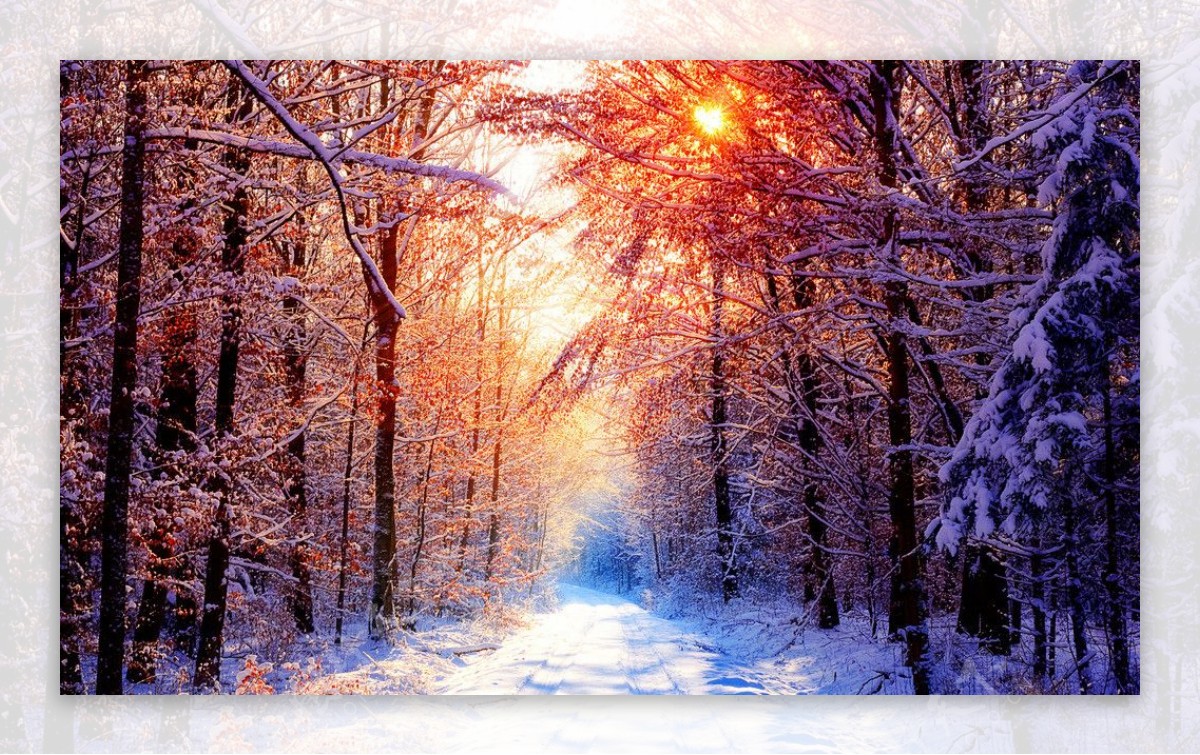 冬天的阳光图片