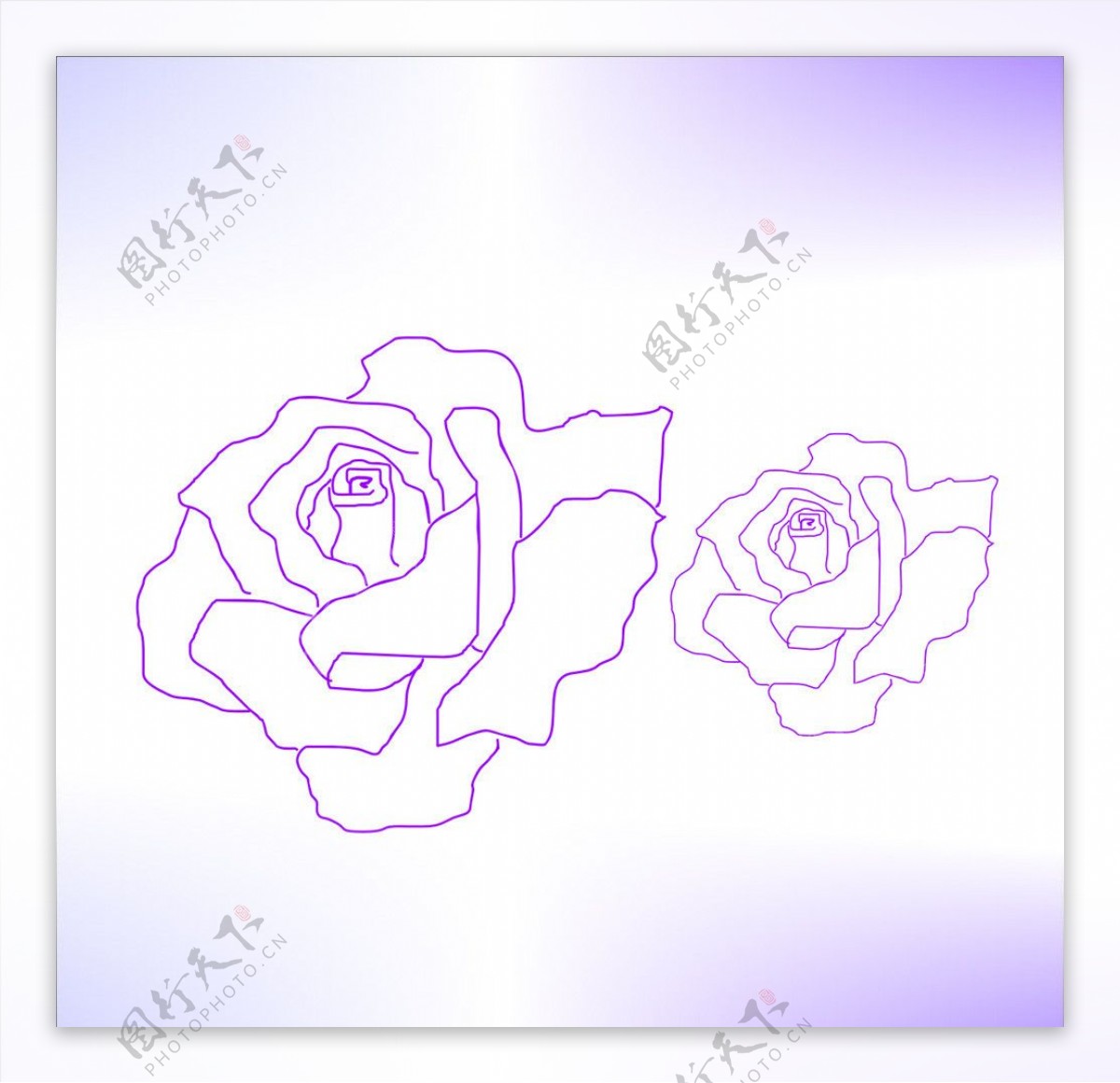 玫瑰花线描图片