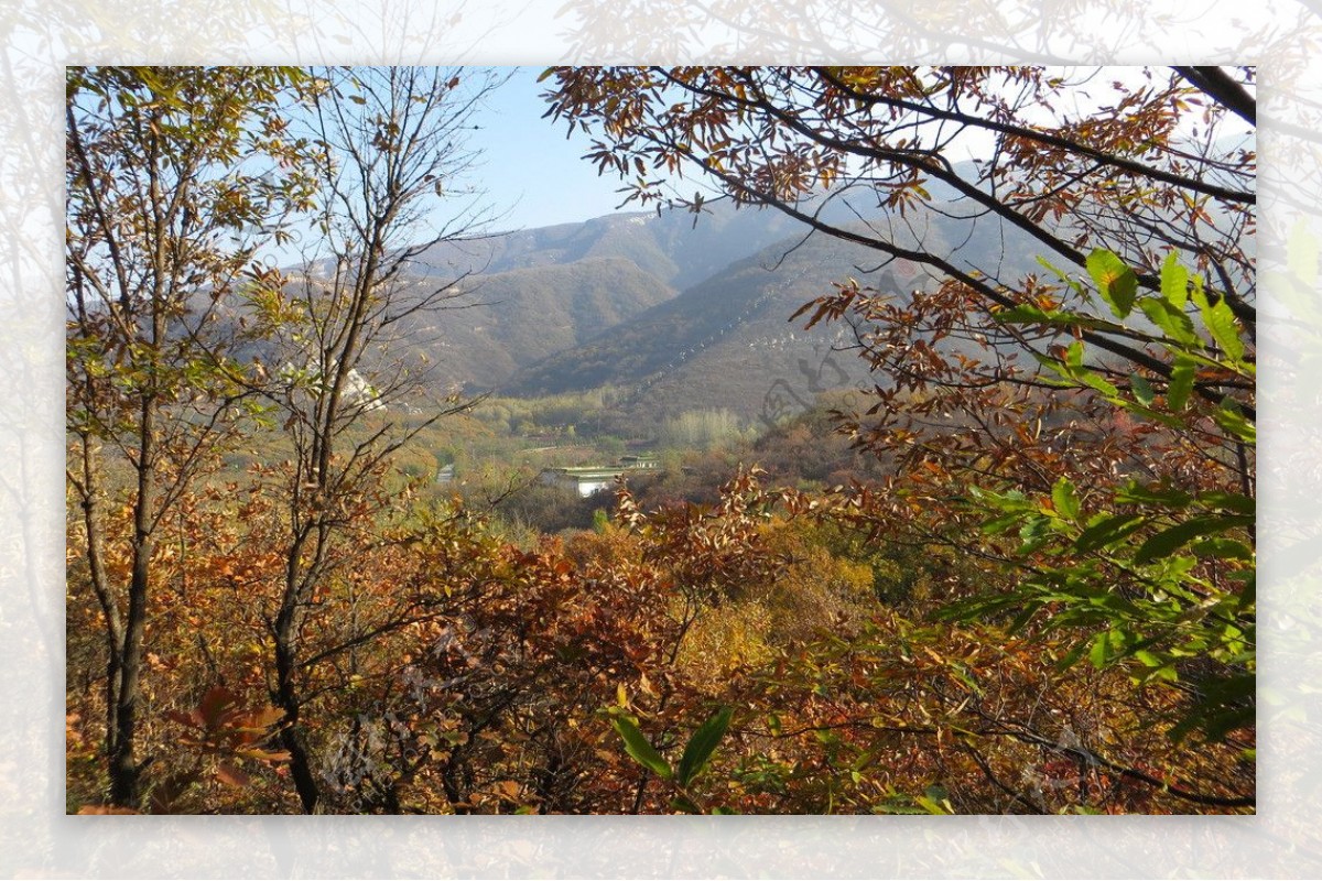 少室山景色图片