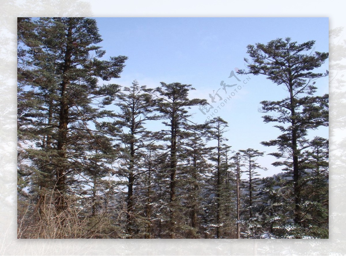 峨眉山雪景图片