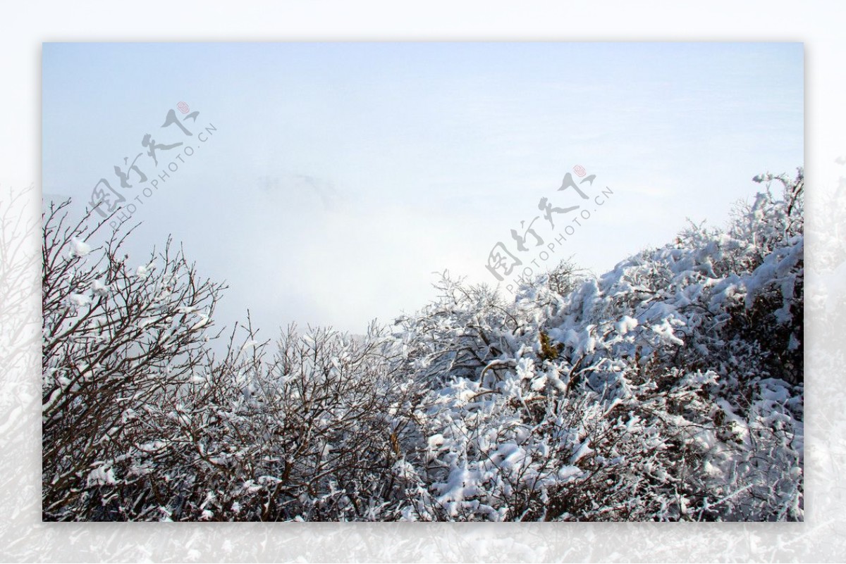 雪景峨眉山图片