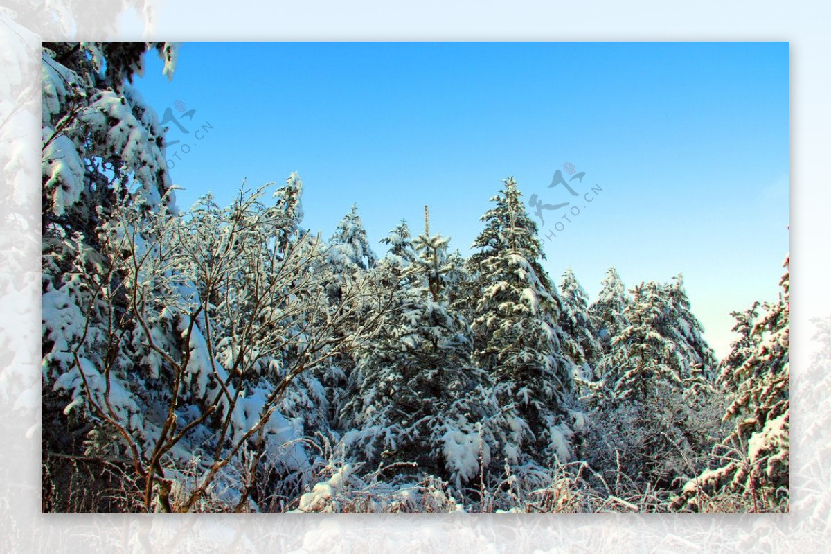 雪景峨眉山图片