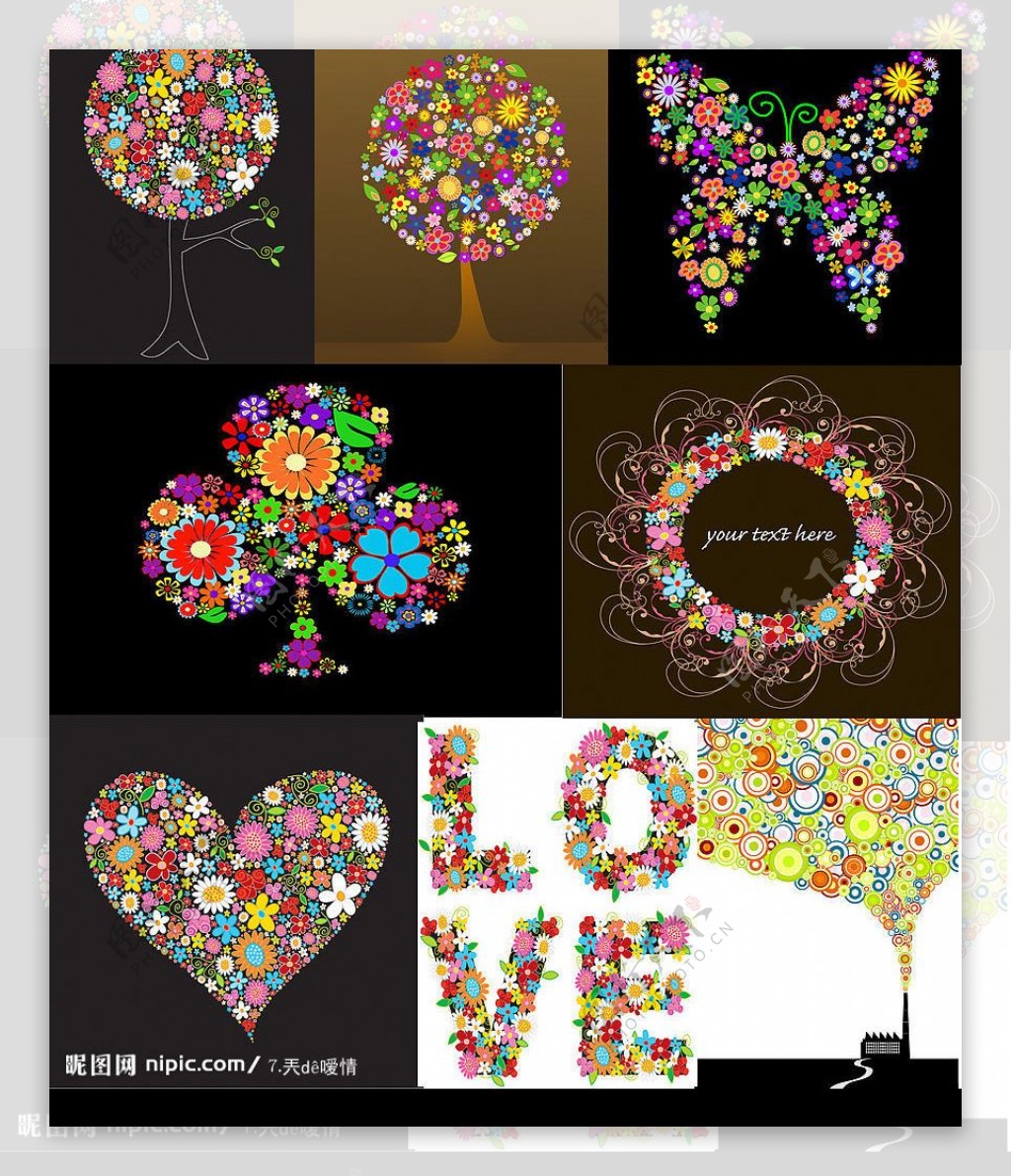 八组色彩斑斓的花卉素材图片