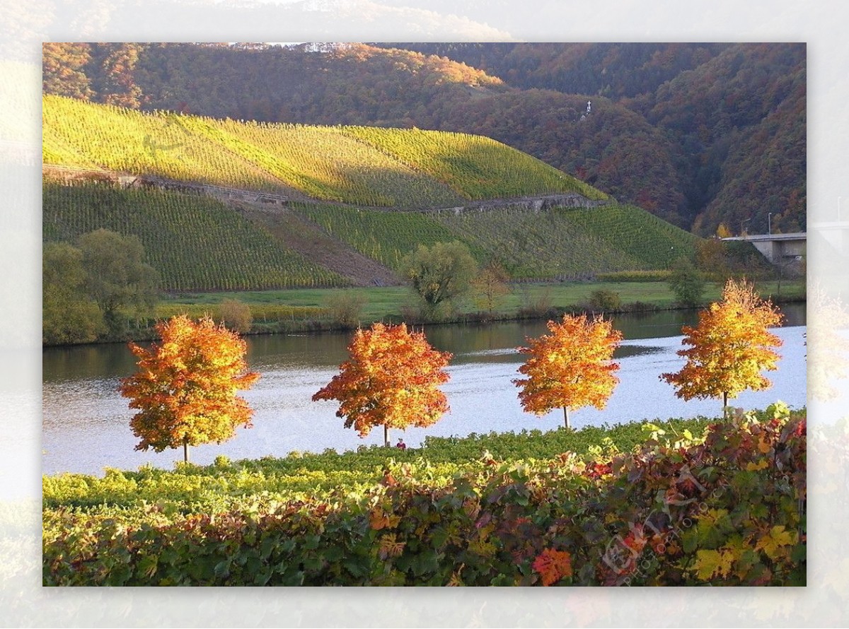 秋色中的德国风景图片