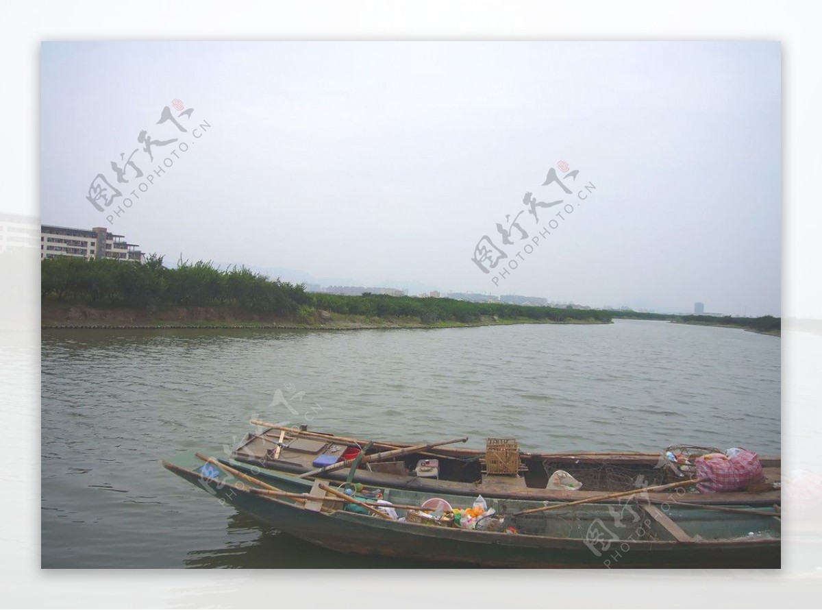 温州三垟湿地水景小木船图片