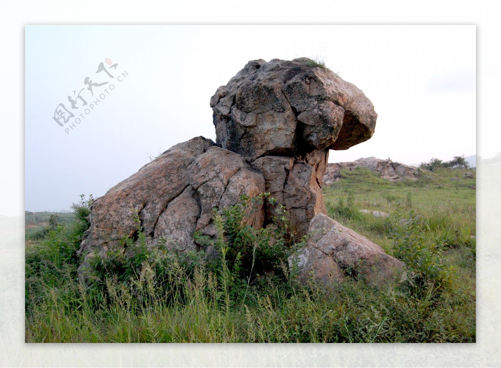 天然石狮子图片