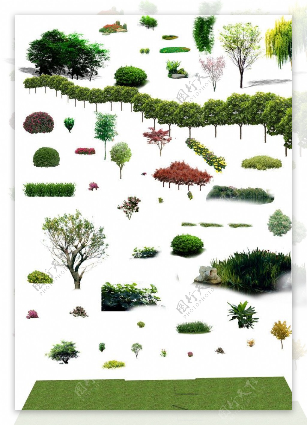 鸟瞰植物素材图片