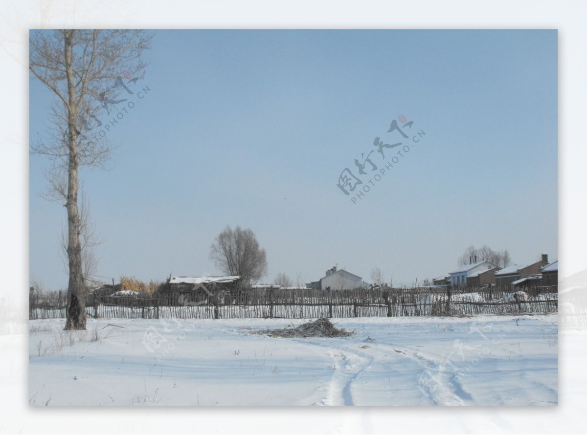 雪中农家院图片