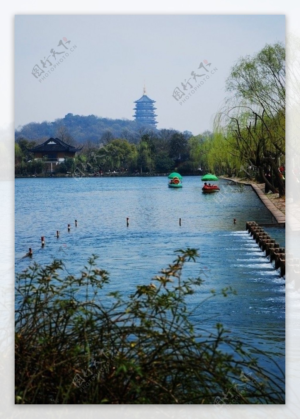 杭州西湖远眺雷峰塔图片