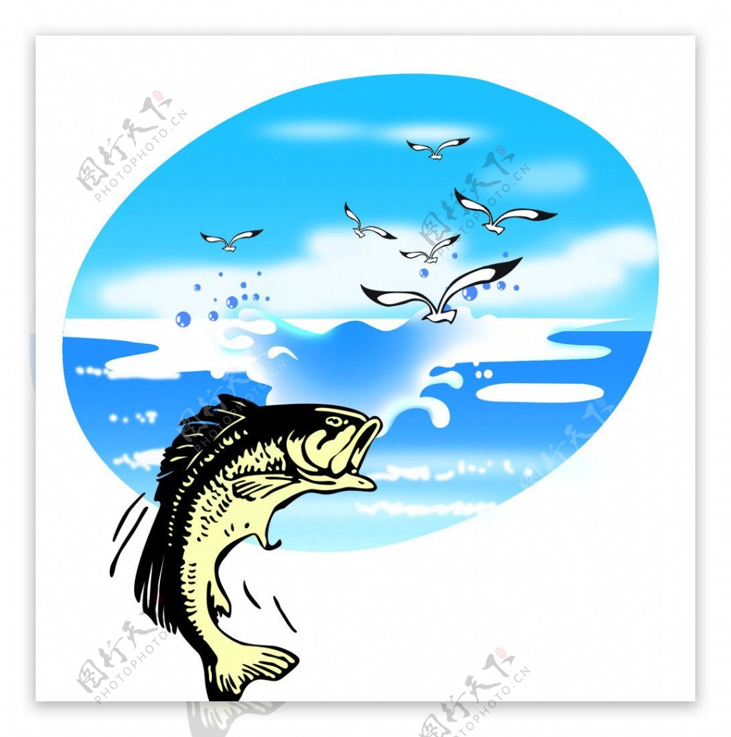 蓝天大海鱼分层图图片