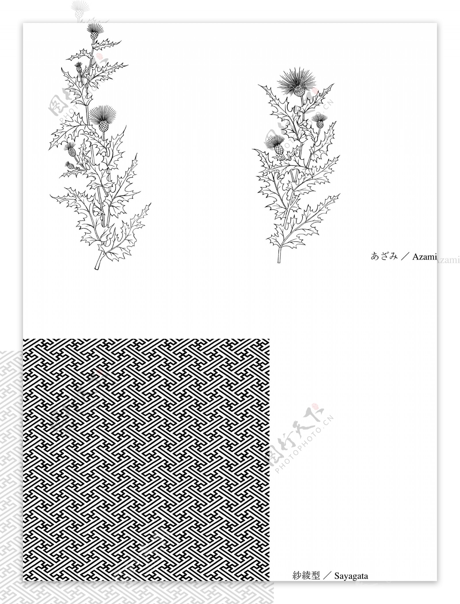 日本线描植物花卉矢量素材图片