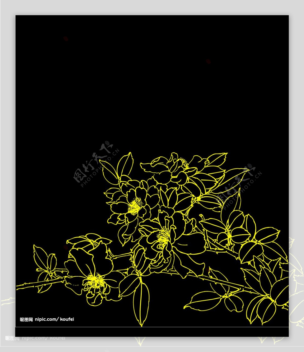 白描花卉1图片