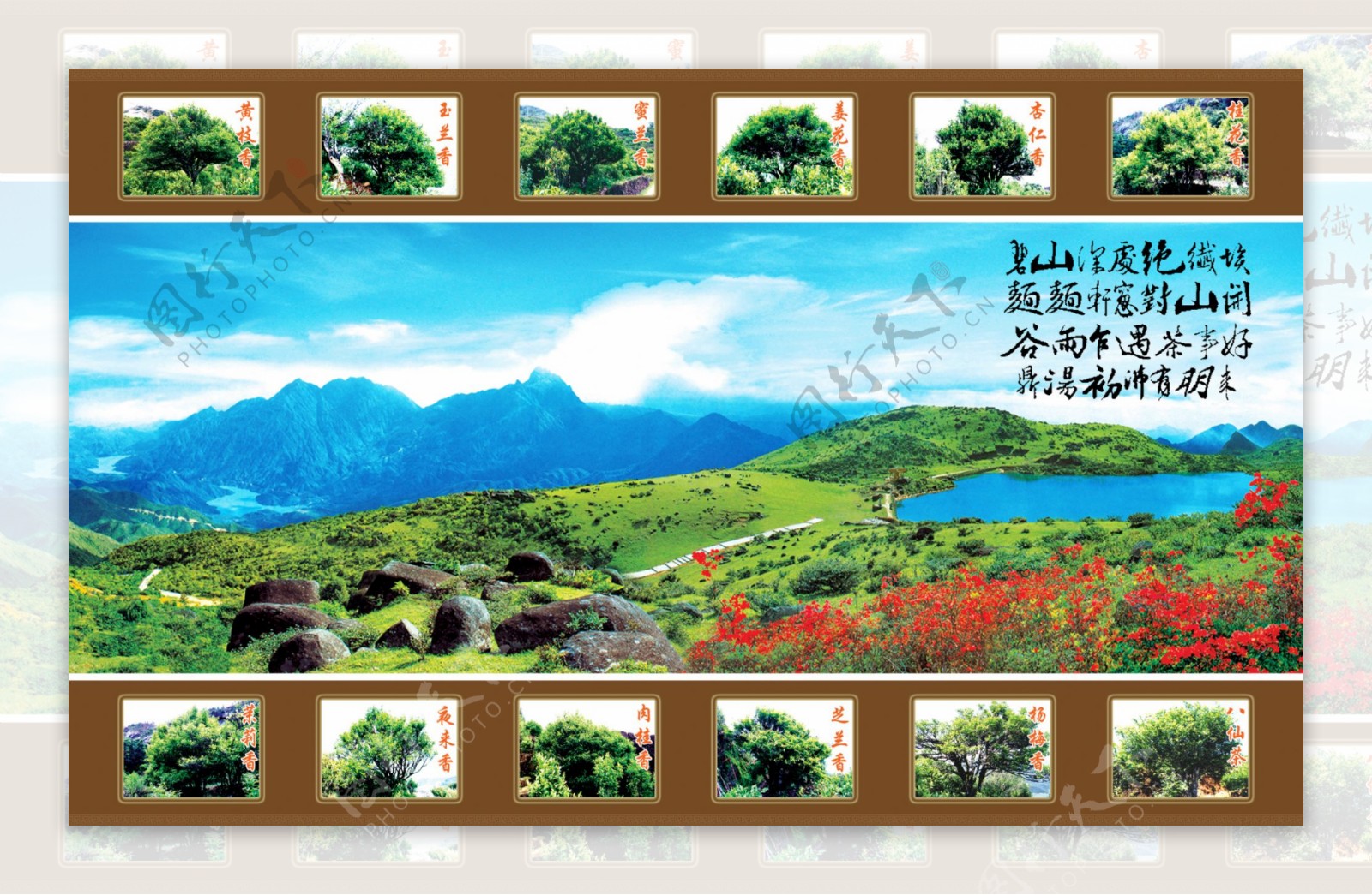 潮州凤凰天池和十大名茶图片