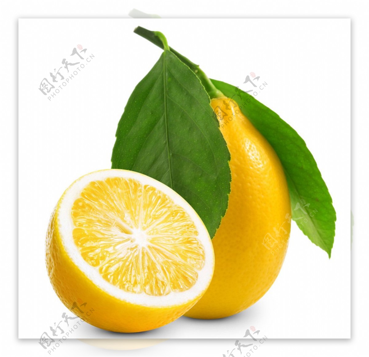 橘子橙子图片