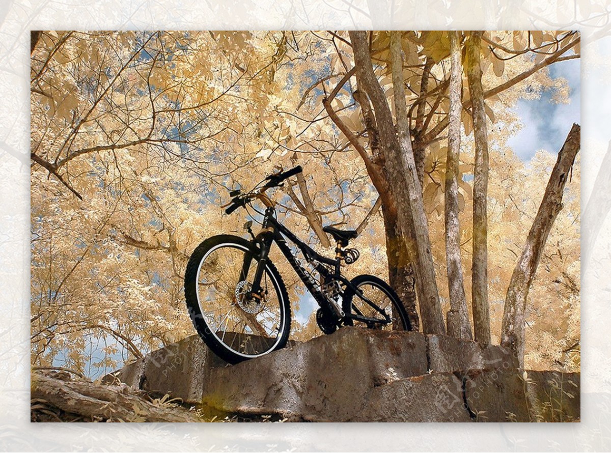 秋天的单车图片