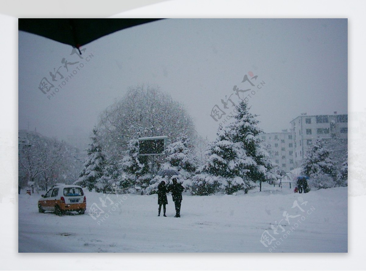 雪中恋人图片