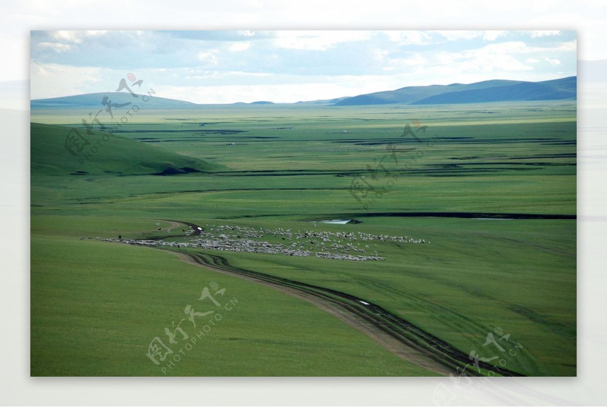 内蒙古呼伦贝尔大草原上的羊群图片